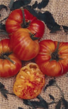Tomato - Old German (Seeds)