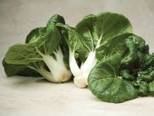 Cabbage - Baby Pak Choi Organic (Seeds)