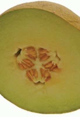 Cantaloupe - Passport Hybrid (Seeds)