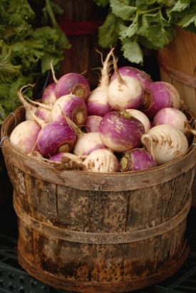 Turnip - Purple Top White Globe (Seeds)
