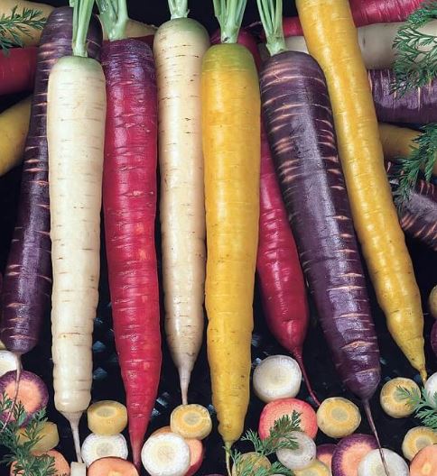 Carrot - Rainbow Blend Organic (Seeds)
