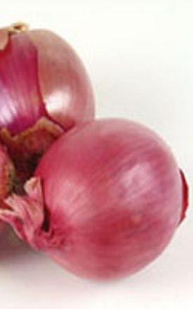 Onion - Red Globe (Seeds)