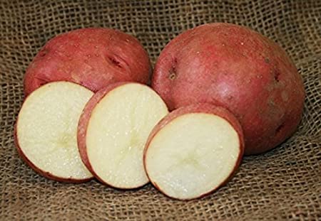 Red Pontiac (Nordonna) Potato (Various Sizes)
