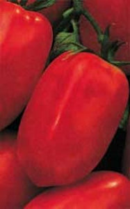 Tomato - Roma (Seeds)