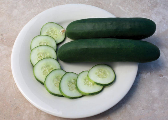 Cucumber - Slicemore Hybrid (Seeds)
