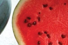 Watermelon - Sugar Baby Organic (Seeds)