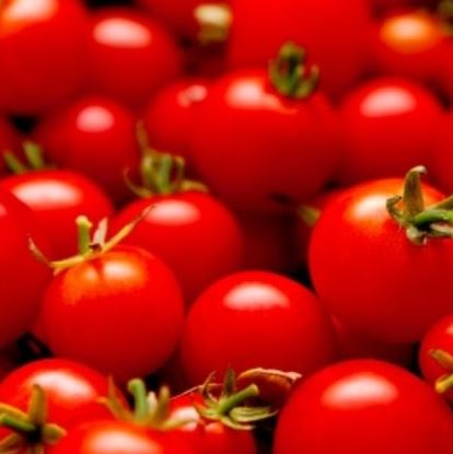 Tomato - Sweetie Organic (Seeds)