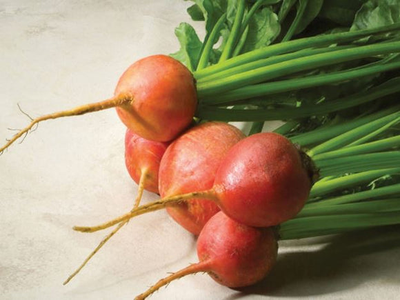 Beets - Touchstone Gold Organic (Seeds)