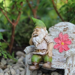 Fairy Garden - Iggy the Gnome