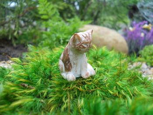 Fairy Garden - Archie Cat