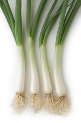 Onion - White Gem Hybrid (Seeds)