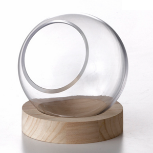 Terrarium - Glass on Wooden Base