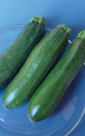 Squash Zucchini - Dark Green (Seeds)
