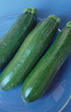 Zucchini Squash - Dark Green Organic (Seeds)